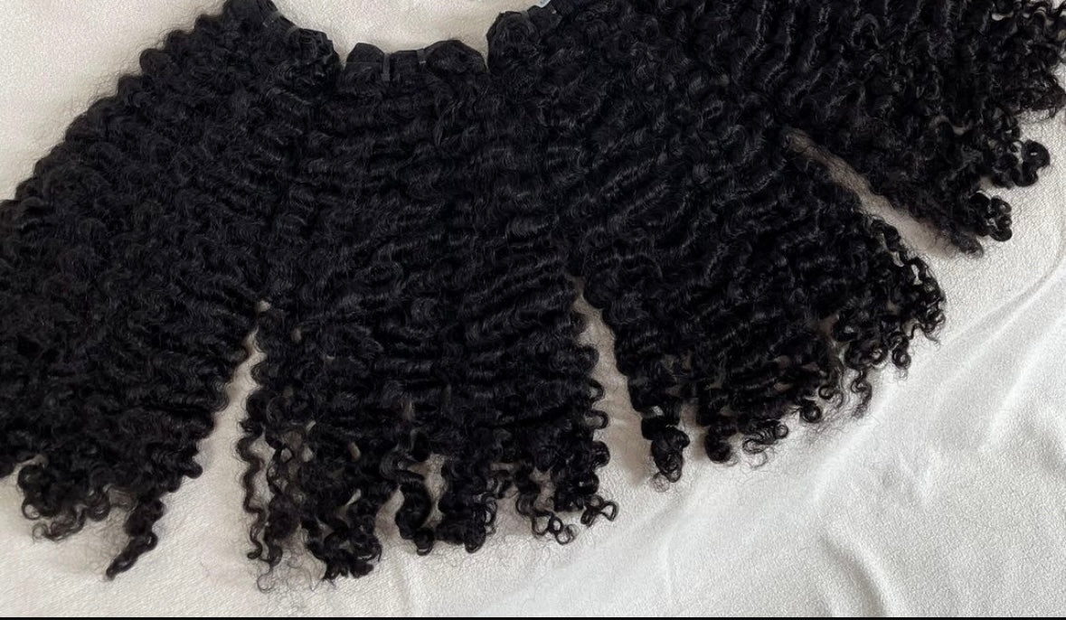 Burmese Curly